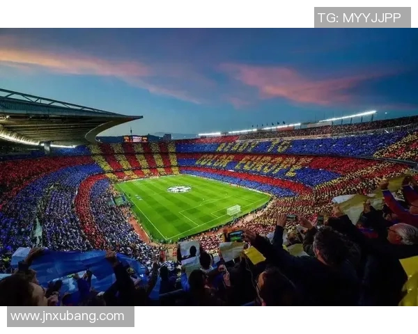 足球明星的成长之路与成就探索全景介绍